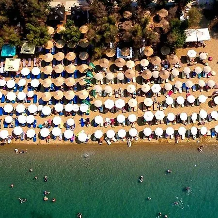 3br 300mts From The Переа