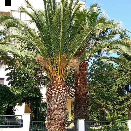 3br 300mts From The * Переа